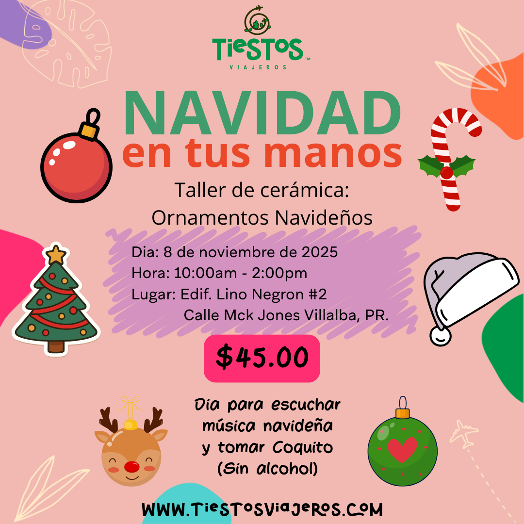 Taller de Ornamentos - 8 de noviembre de 2025