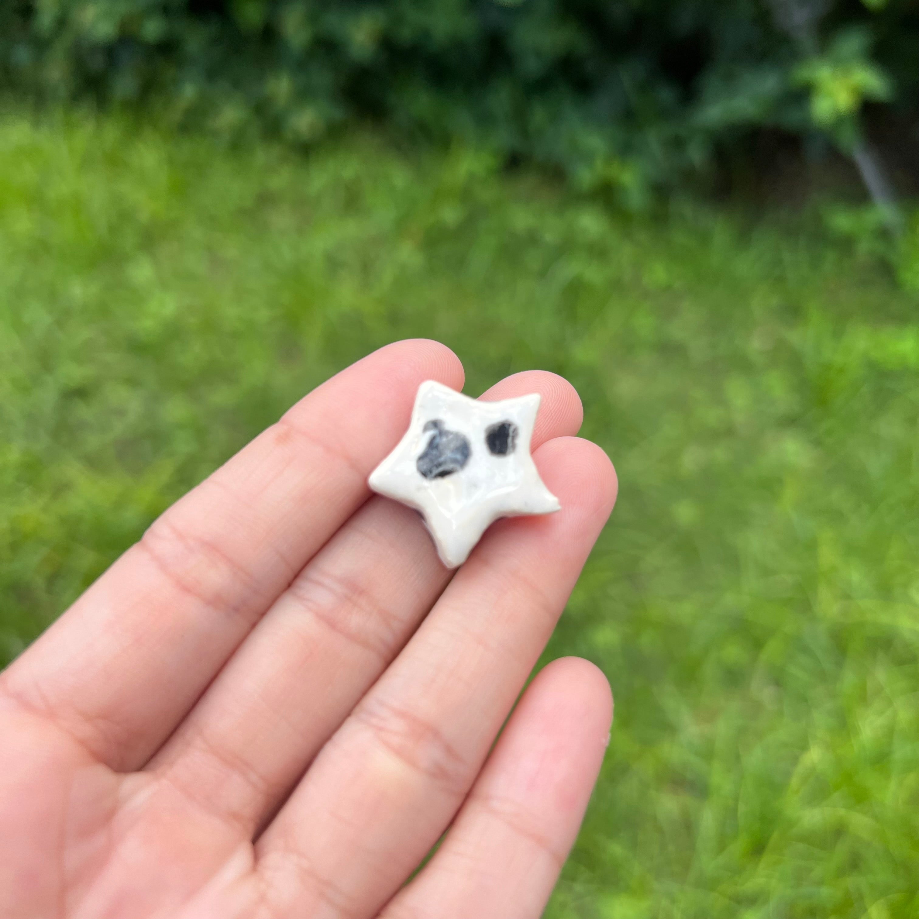 Estrella Blanca / Puntos Negros