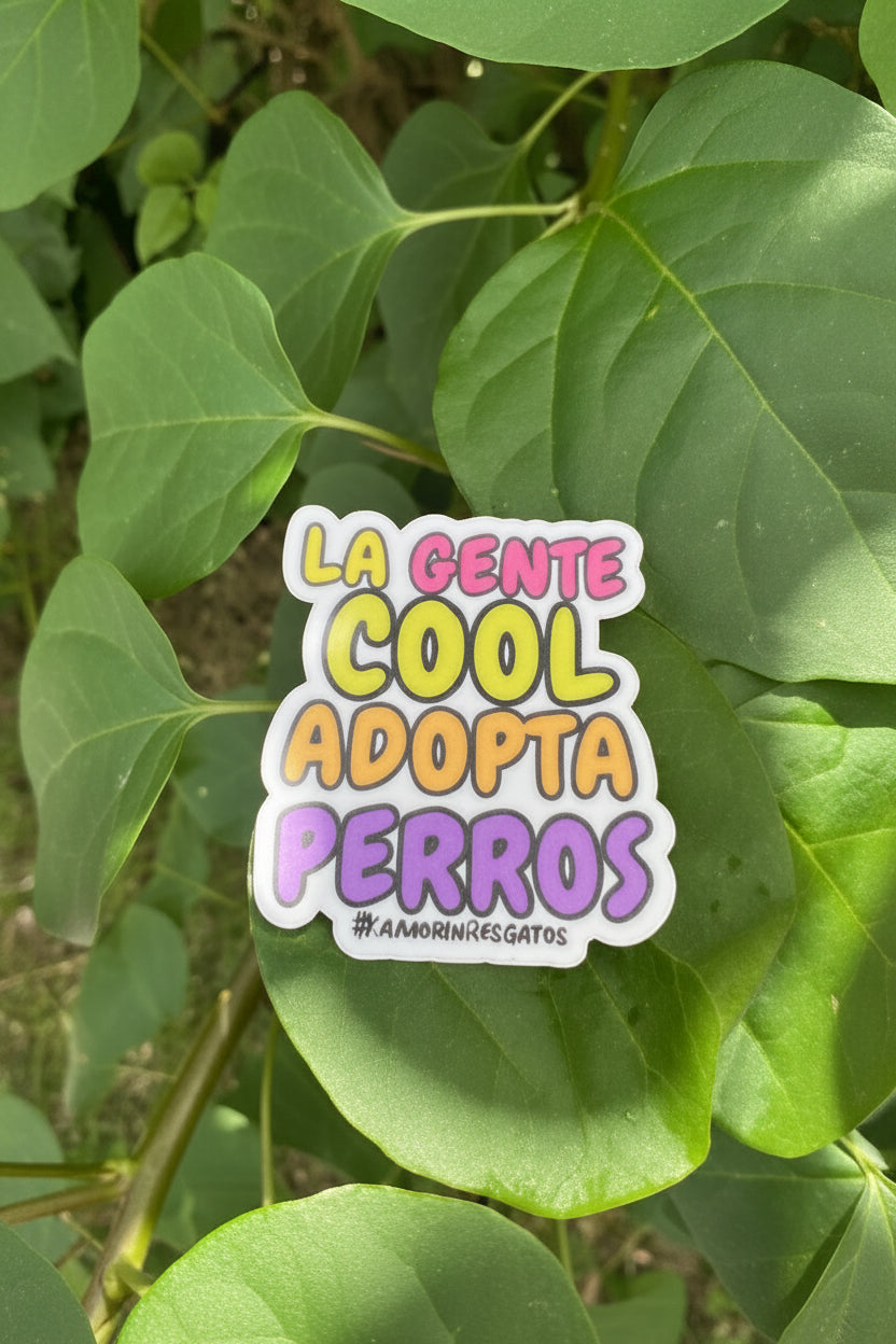 Satos / Cool