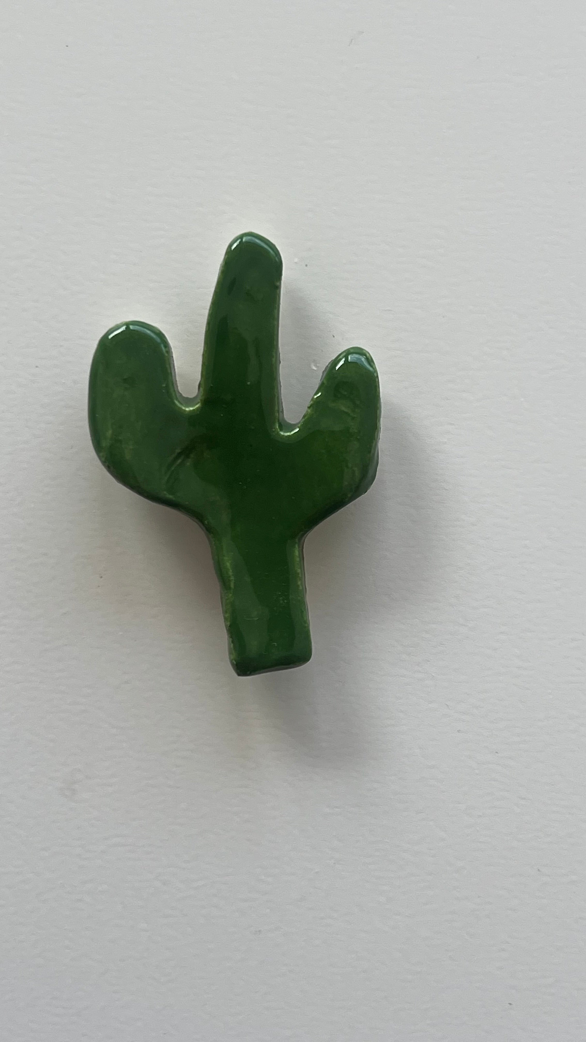 Cactus Verde Oscuro