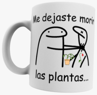 Me dejaste morir las plantas