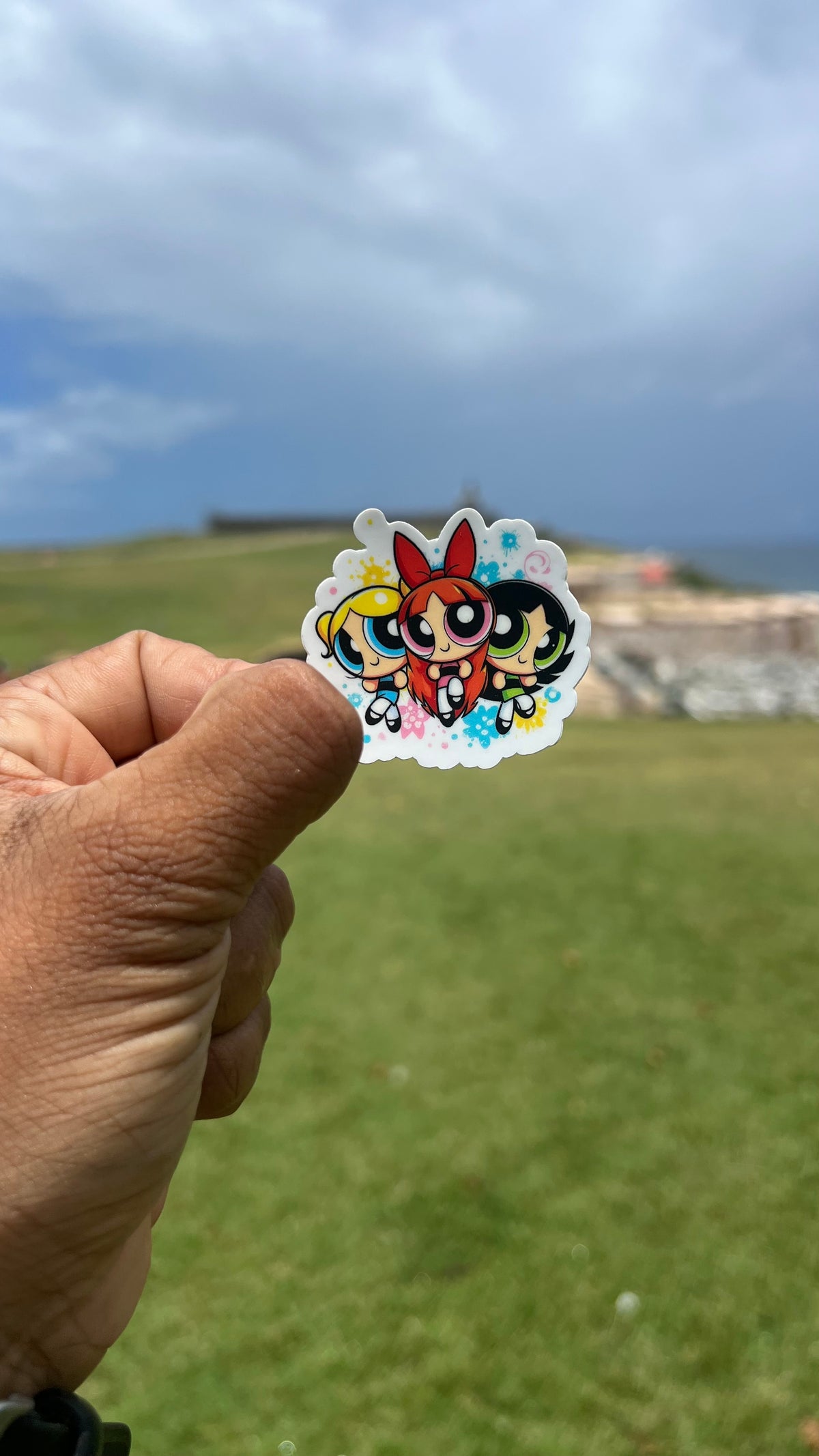 Mini Sticker - Powerpuff Girls