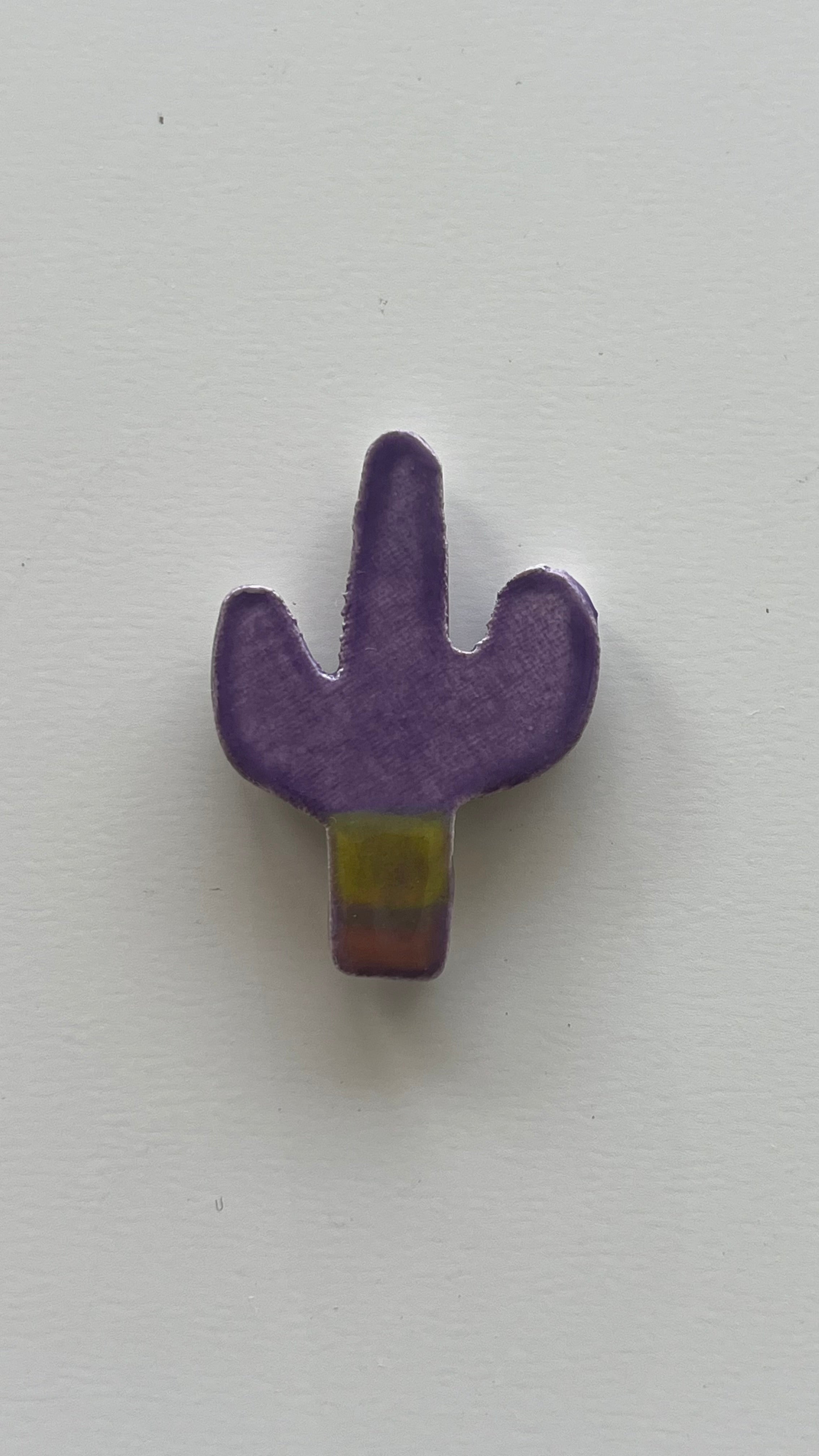 Cactus Violeta