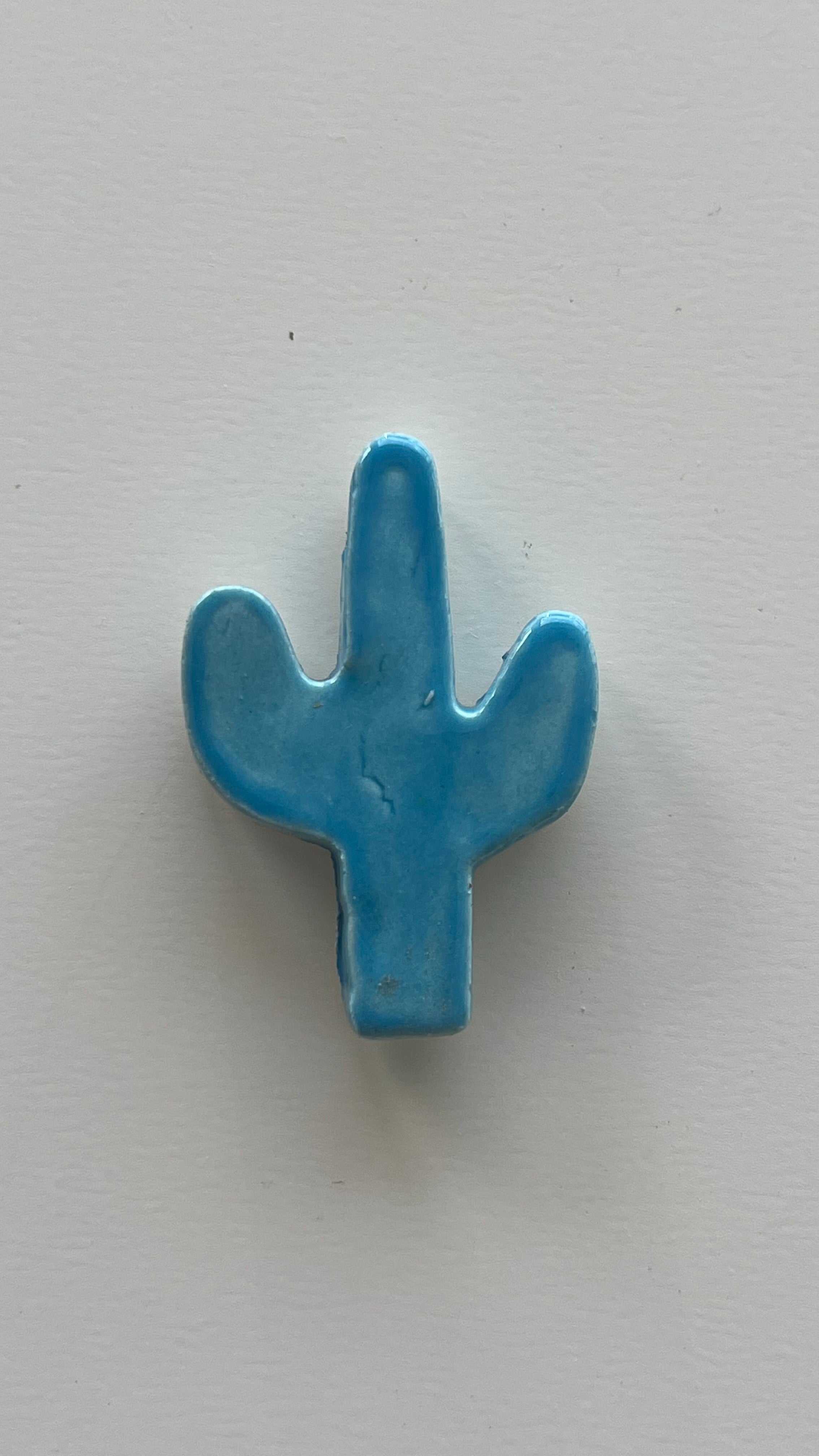 Cactus Azul